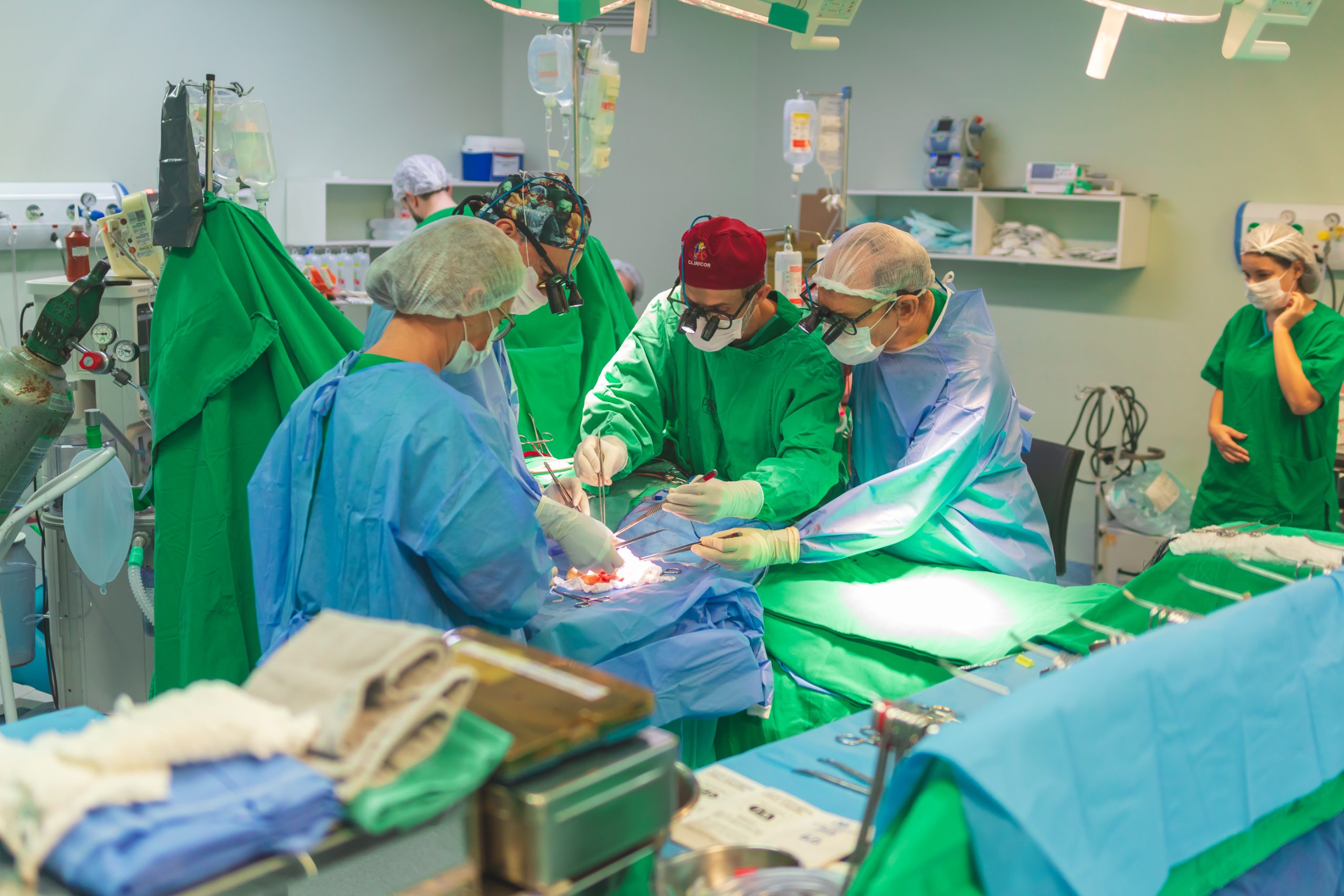 transplante-hm-2-scaled.jpg
